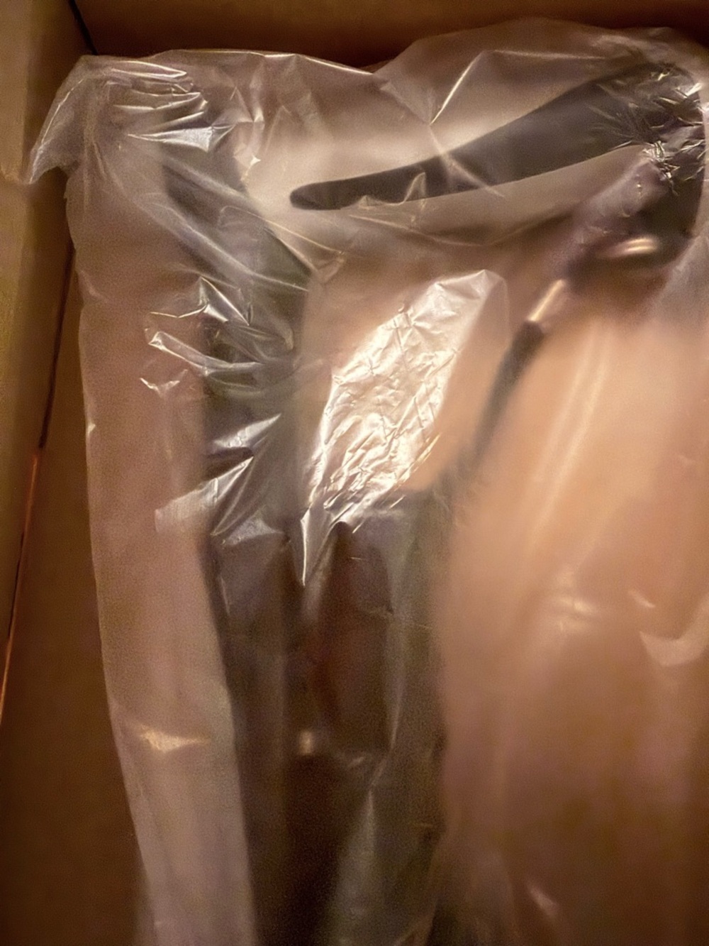 Health Bazaar Black Quad Cane Adjustable Assembly Required - Picture 14 of 16
